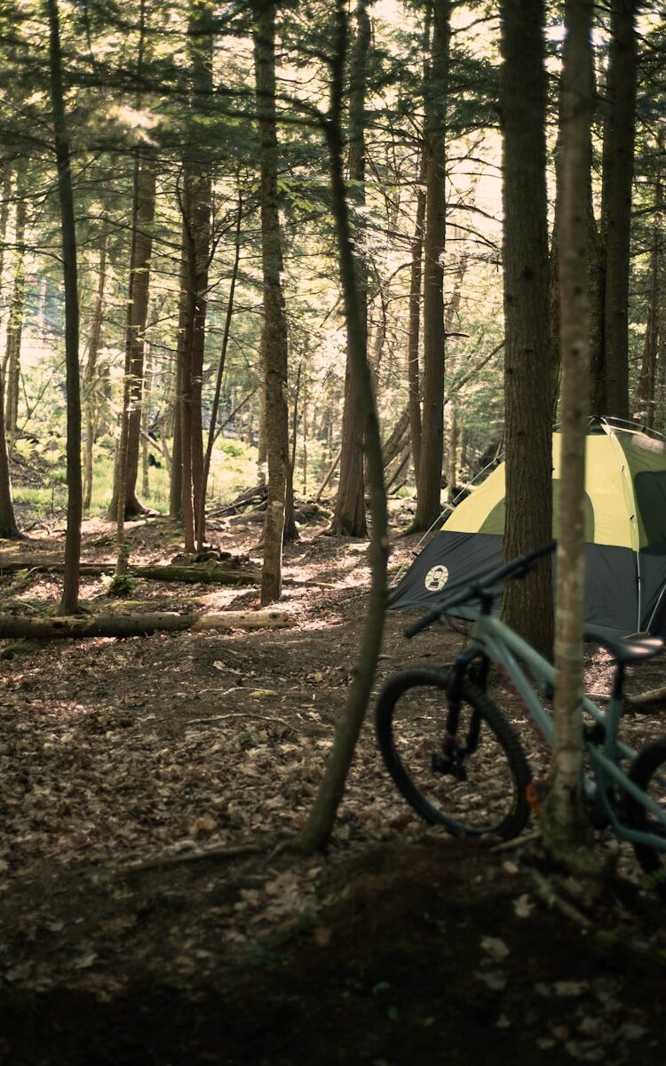 yellow dome tent in forest during daytime